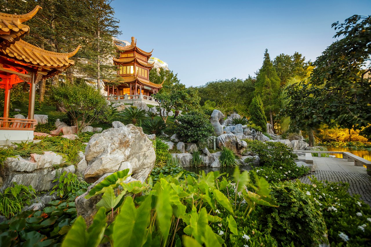 Serene pavilion overlooking a koi pond in the Chinese Garden of Friendship, Sydney